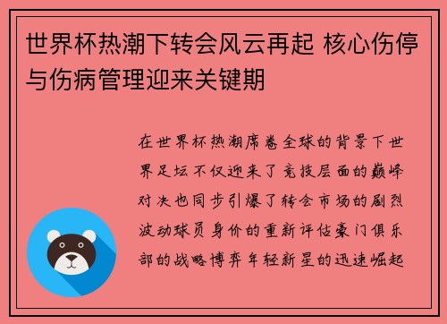 世界杯热潮下转会风云再起 核心伤停与伤病管理迎来关键期 世界杯热潮下转会风云再起 核心伤停与伤病管理迎来关键期